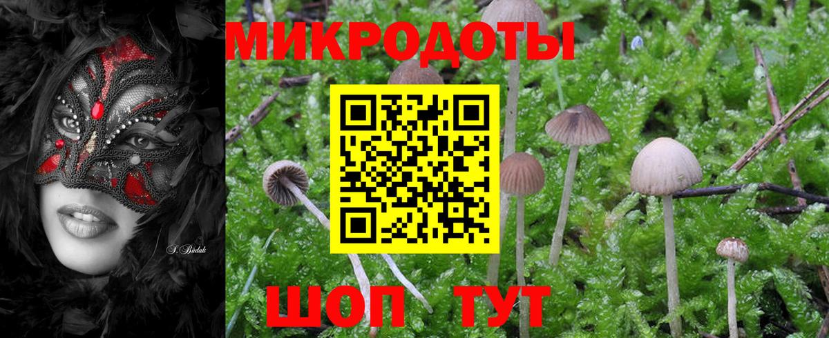 Псилоцибиновые грибы мухоморы Бахчисарай