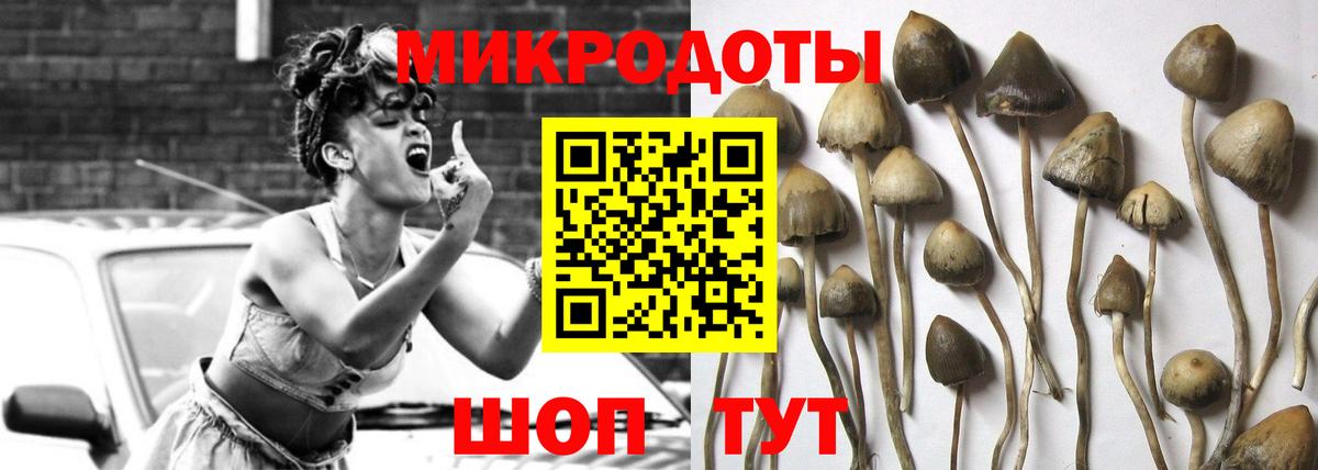 Бахчисарай  закладка  Вход с VPN  Псилоцибиновые грибы мухоморы 